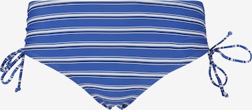 Cruz Bikinihose 'Celinn' in Blau: Vorderseite