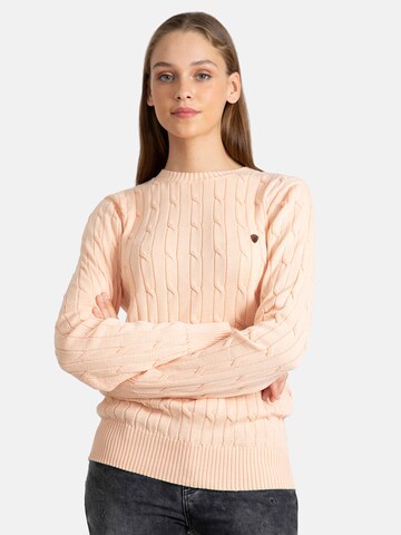 Jacey Quinn - Jersey en rosa