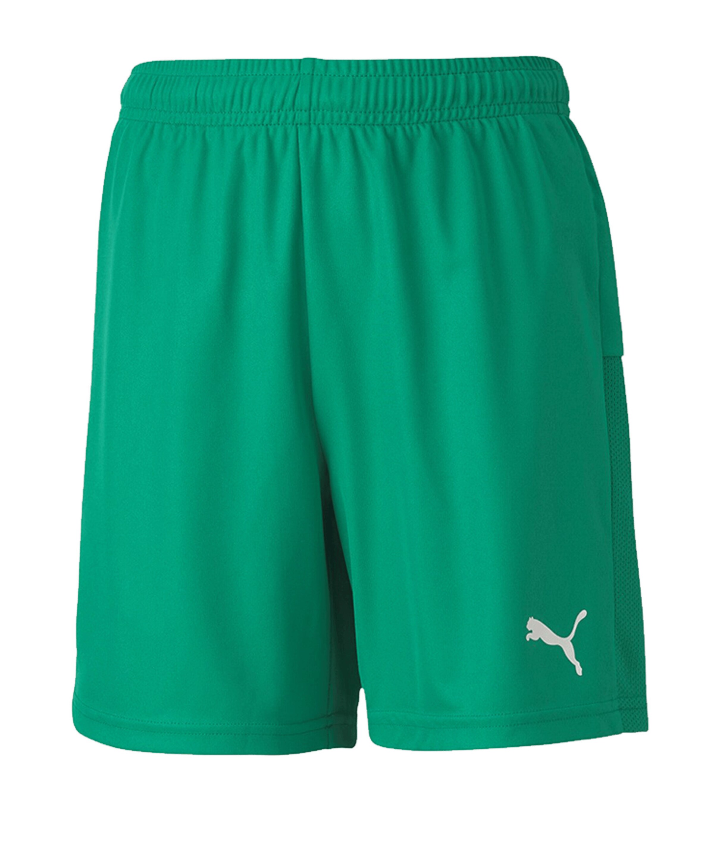 PUMA Workout Pants 'TeamGOAL 23' in Green: front