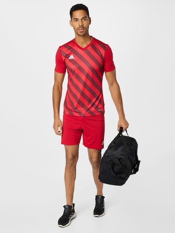 ADIDAS SPORTSWEAR Regular Sportshorts 'Entrada 22' in Rot