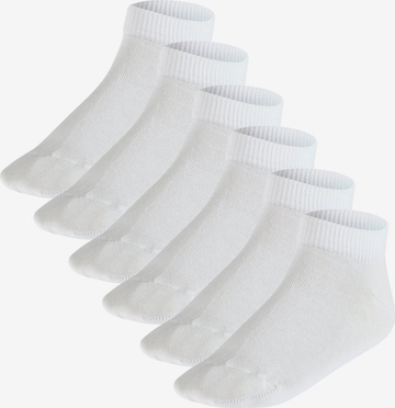 FALKE - Calcetines en blanco: frente