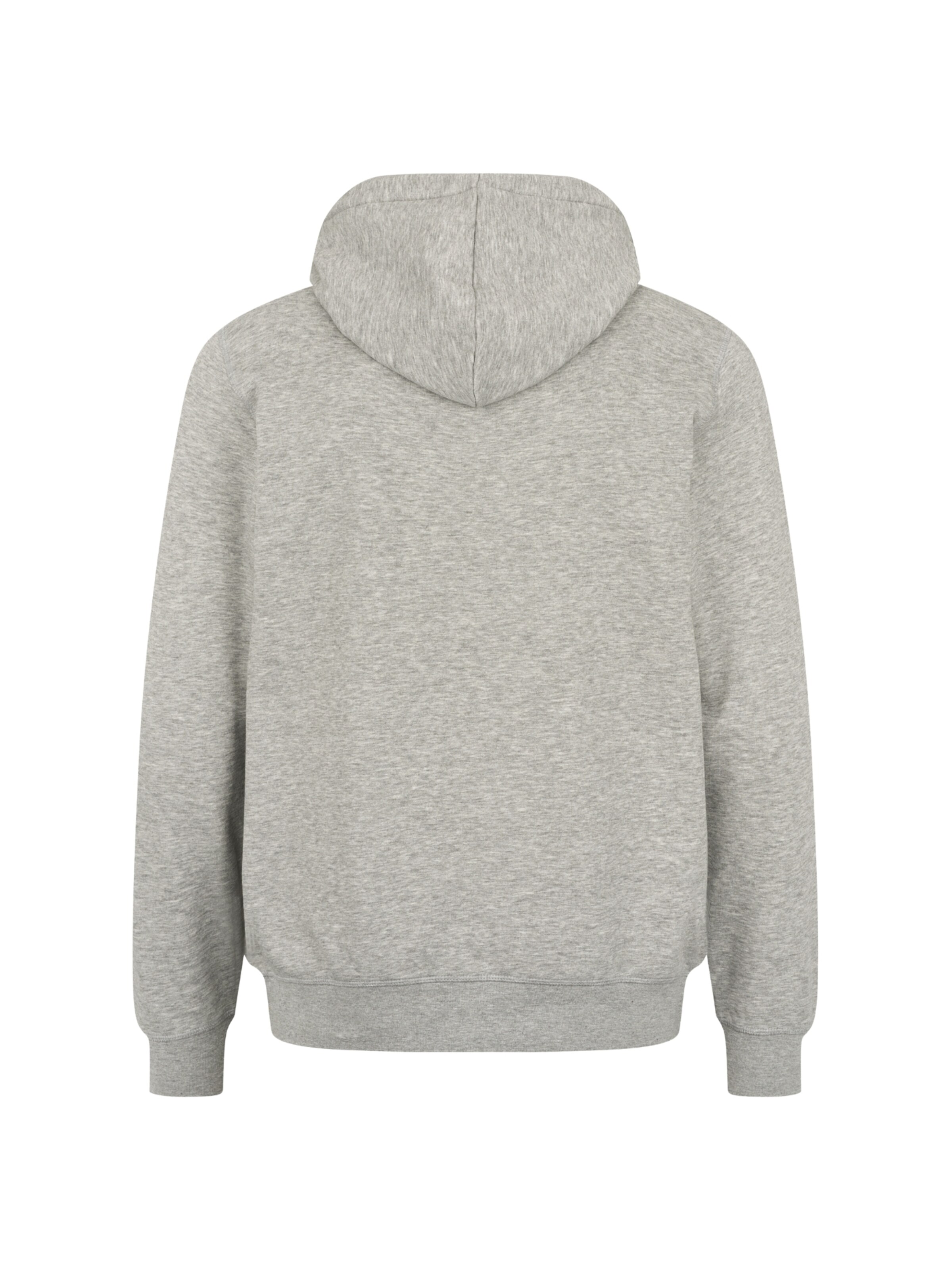 U.S. POLO ASSN. Pullover 'Toke' i grå