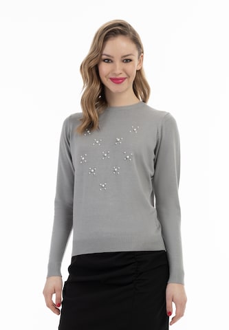 faina Sweater in Grey: front