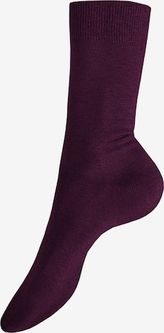 Calzino 'Liz' di KUNERT in lilla: frontale