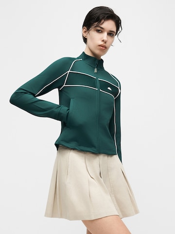 ELLESSE Суичъри с качулка 'Thayn' в зелено