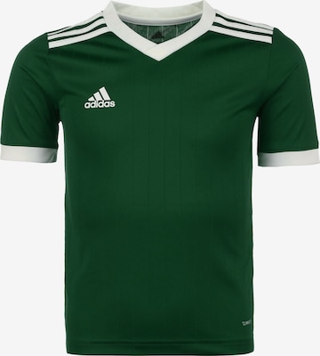 Maglia funzionale 'Tabela 18' di ADIDAS PERFORMANCE in verde: frontale