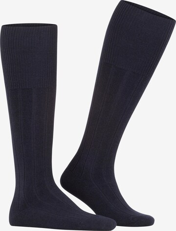 FALKE Knee High Socks 'Lhasa Rib' in Blue: front