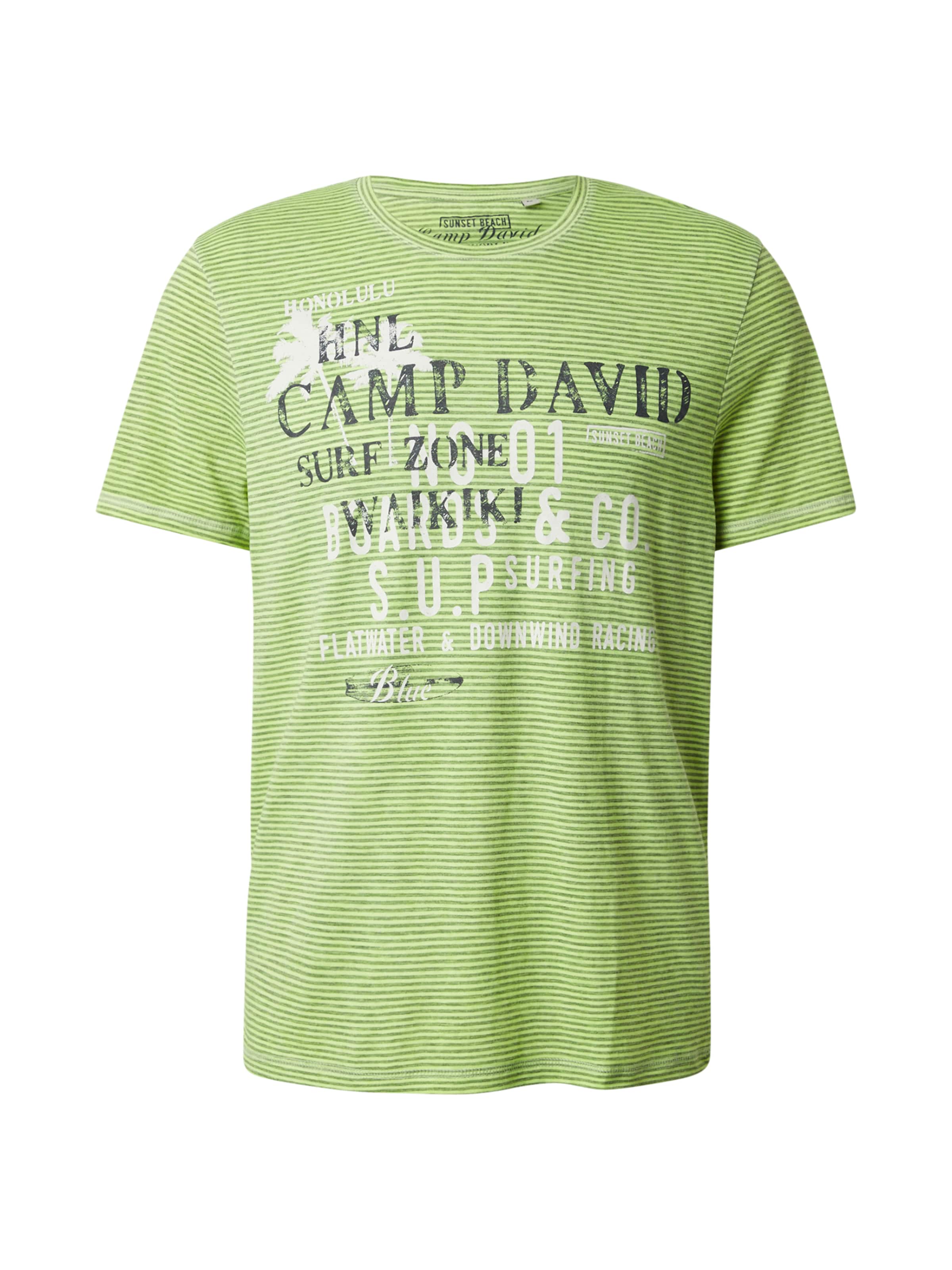 CAMP DAVID Shirt in Navy / Light green / White, Item view