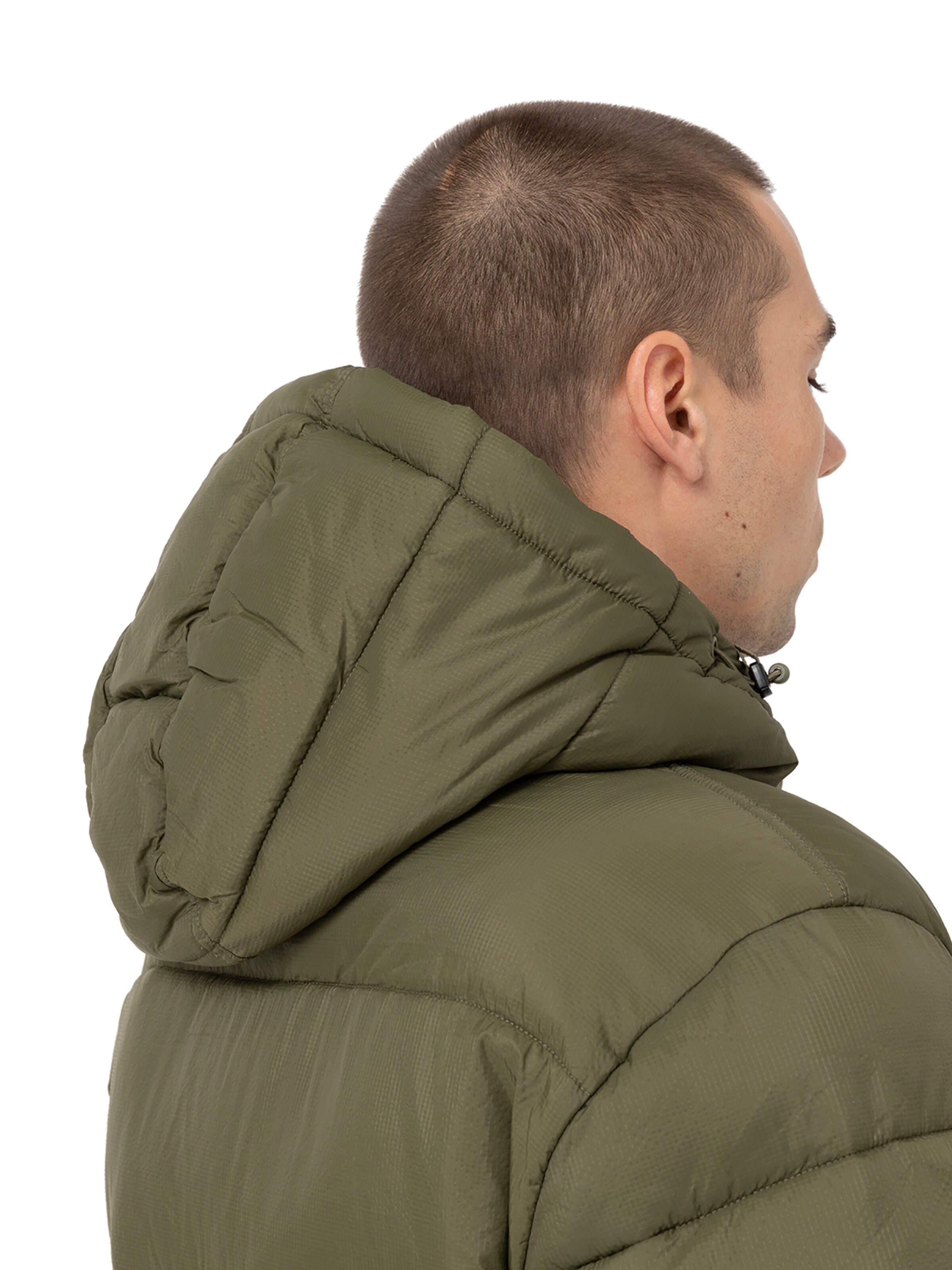 žalia DICKIES Žieminė striukė 'WALDENBURG '