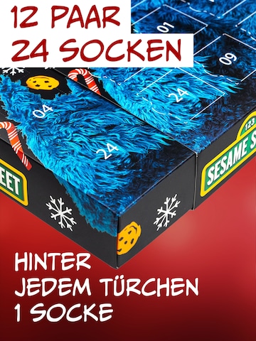 SESAMSTRASSE Socken 'Adventskalender mit 12 Paar'‌‌‌ in Mischfarben