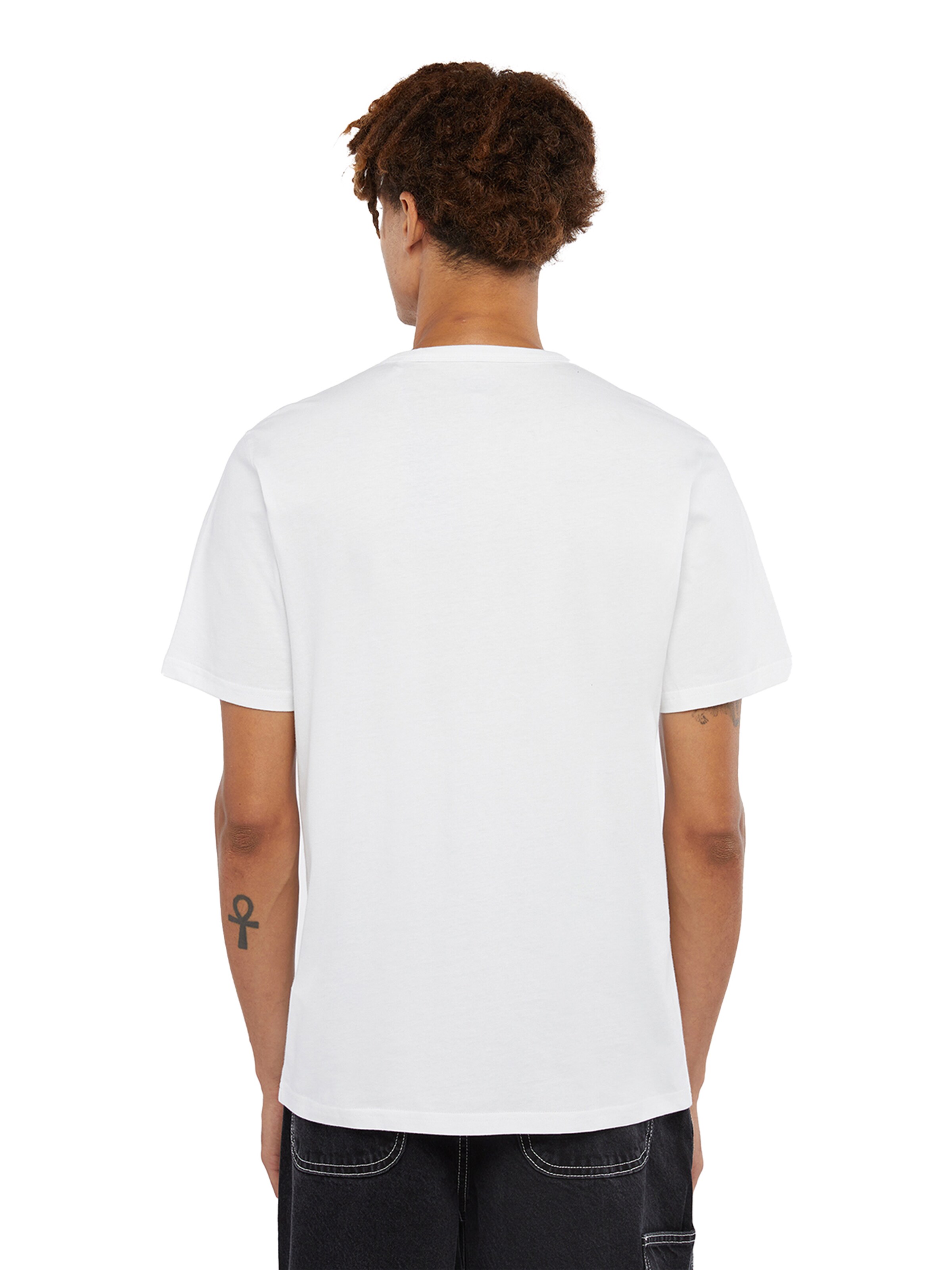 DICKIES Bluser & t-shirts 'AITKIN' i hvid