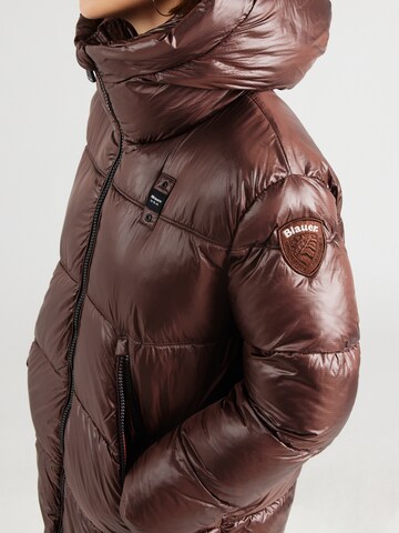 Blauer.USA Зимнее пальто в Коричневый