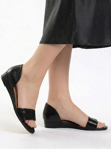 Maciejka Sandals '01971-11/00-5' in Black