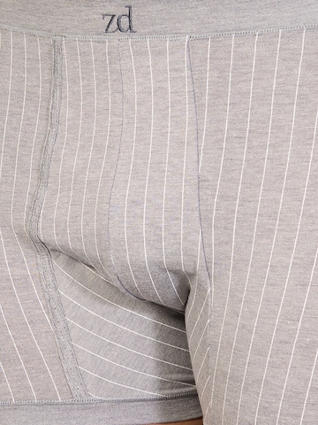 Boxers 'Helios prinstriped fly front boxer' zd ZERO DEFECTS en gris