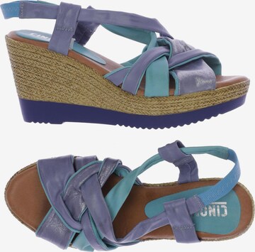 CINQUE Sandals & High-Heeled Sandals in 38 in Blue: front