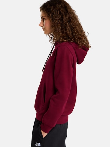 THE NORTH FACE - Sudadera 'THE NORTH FACE W EVO SD REG HOODIE Maglieria' en rojo