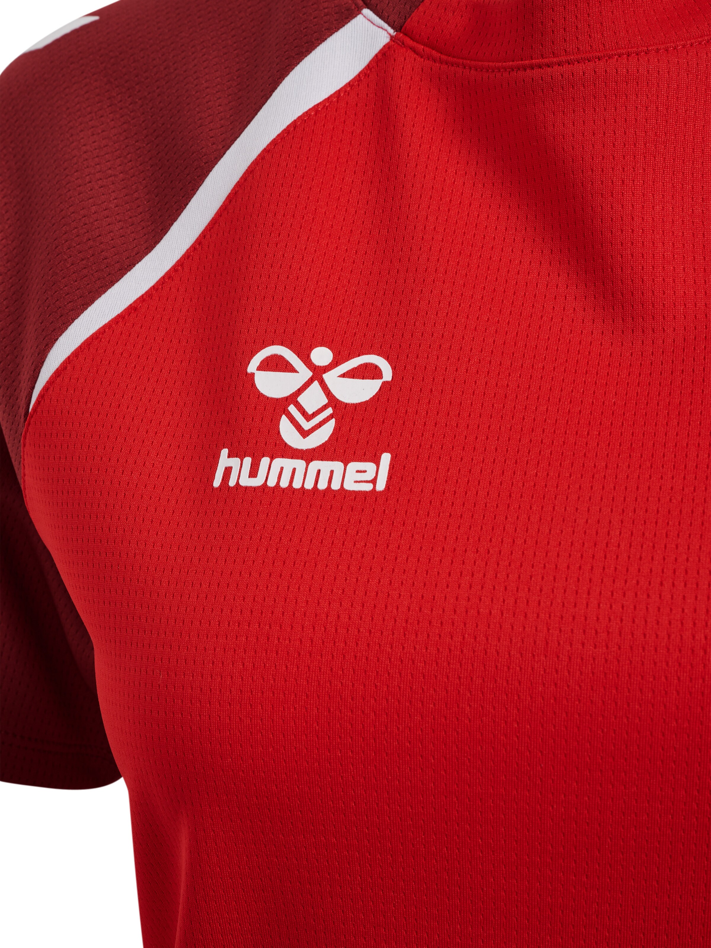 Hummel Sportshirt 'Lead 2.0' in Rot