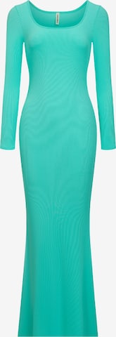 cfab (formerly creamy fabrics) Klänning 'Ribbed Long Sleeve Maxikleid' i grön: framsida