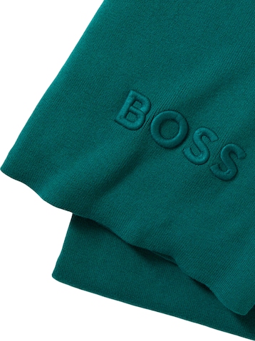 BOSS Home Blankets in Green