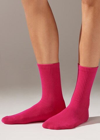 CALZEDONIA Socken in Pink: Vorderseite