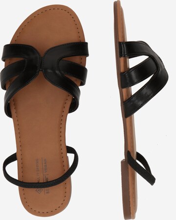 CALL IT SPRING Sandals 'SERENITYY' in Black