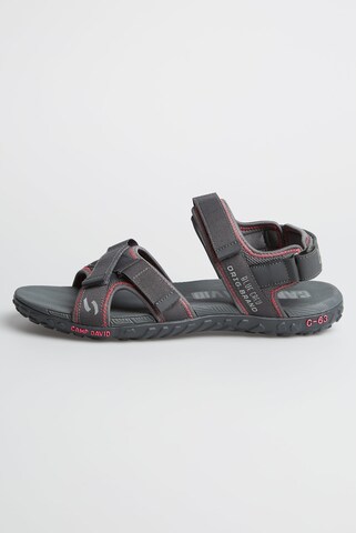 CAMP DAVID Hiking Sandals in Grey