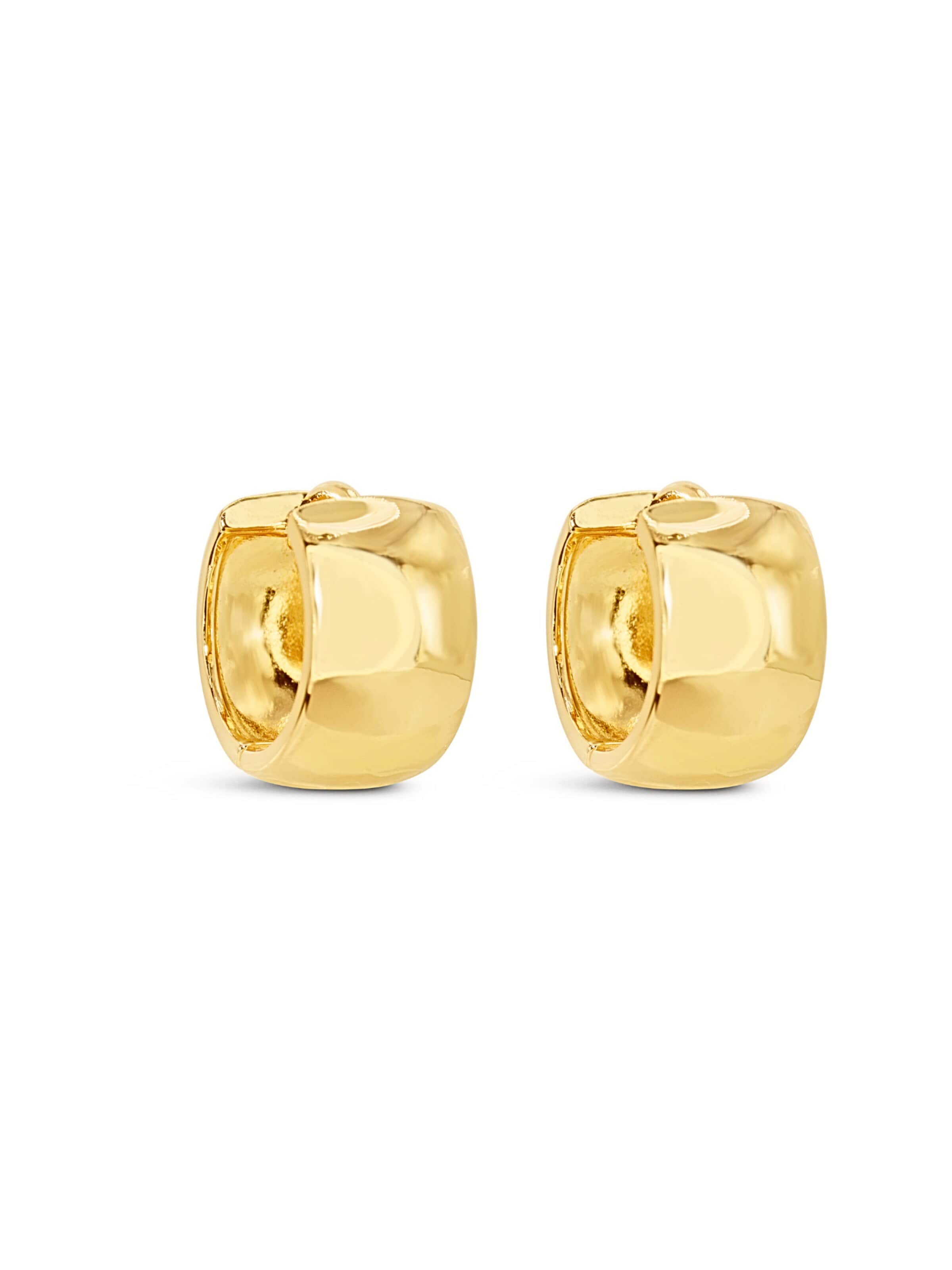 ARS-ARGENTI Earrings in Gold