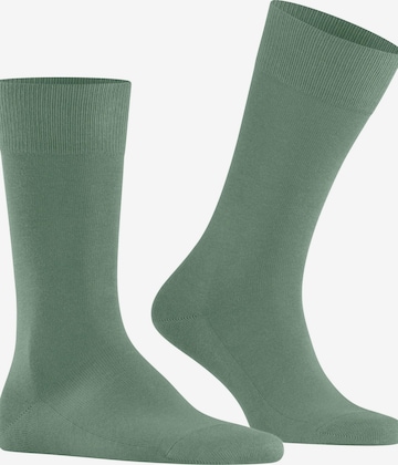 FALKE Socks 'Family' in Green: front