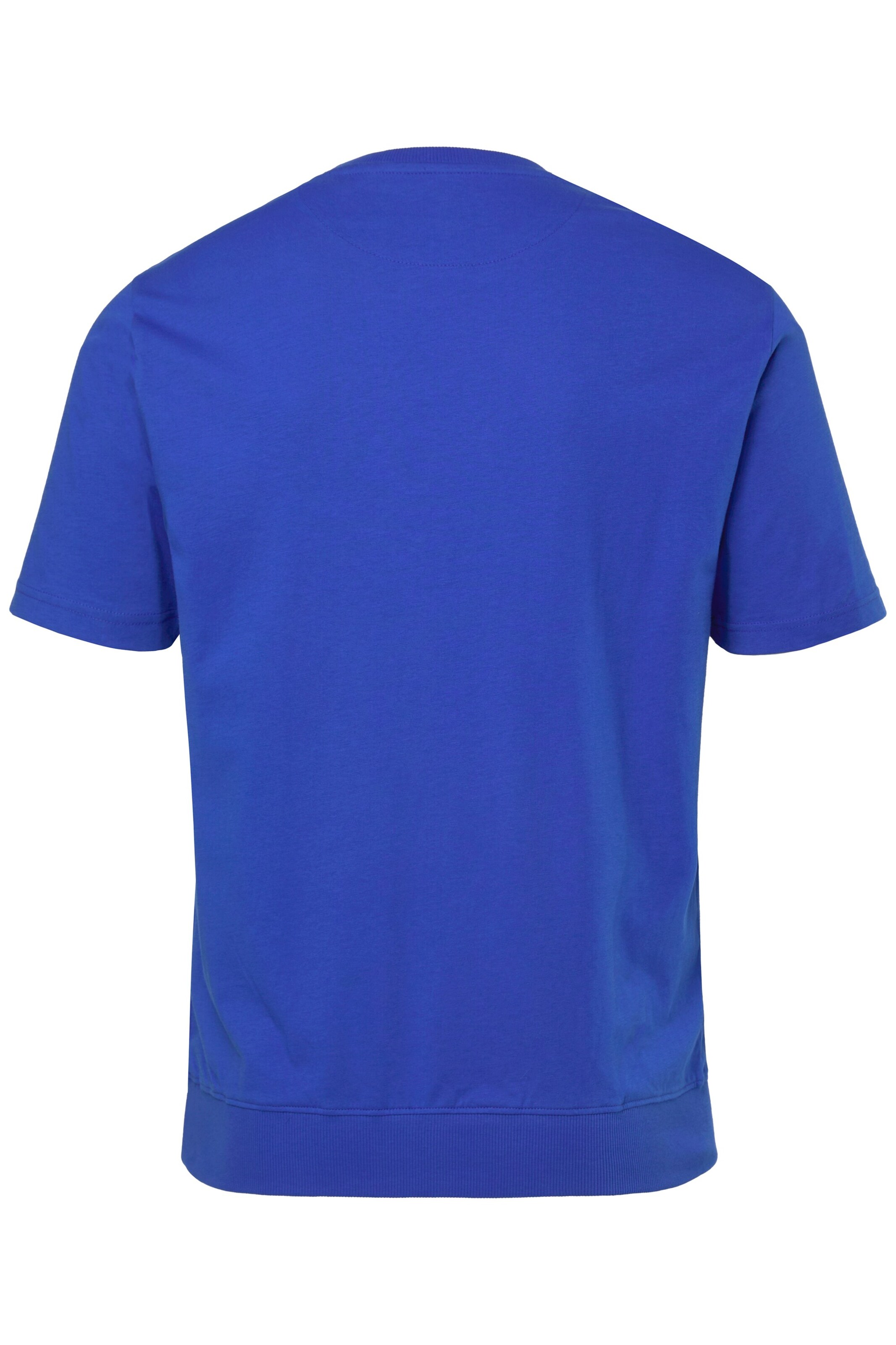 Men Plus Shirt in Blue