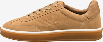 Baskets basses 'BEAT' LLOYD en beige : devant