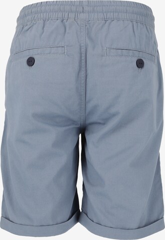 Cruz Regular Shorts in Blau