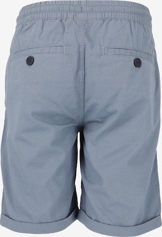Cruz Regular Pants in Blue