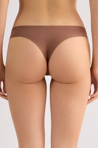 INTIMISSIMI Panty in Brown