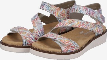 REMONTE Sandals in Mixed colors