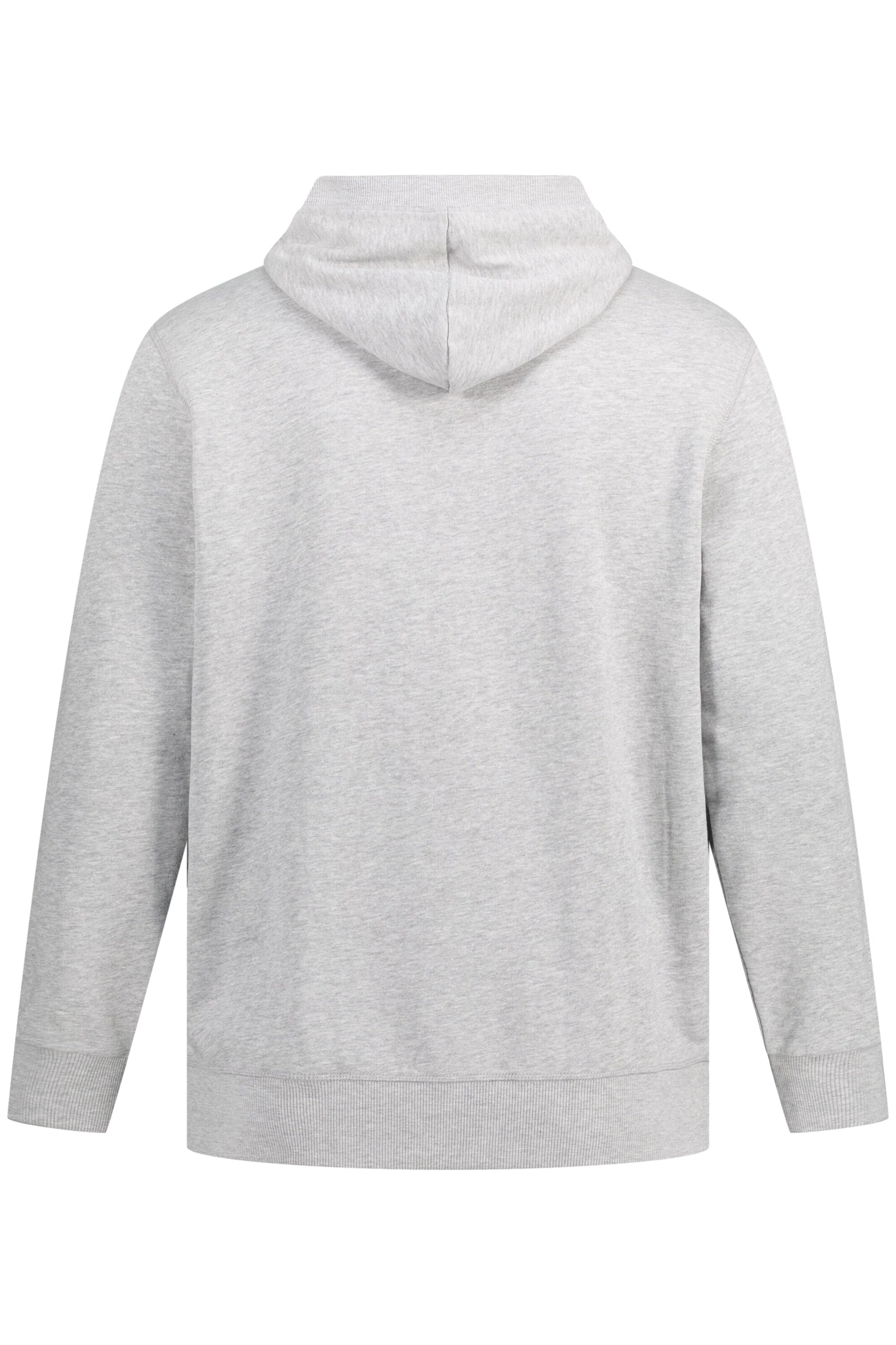 JAY-PI Sweatshirt in Grau