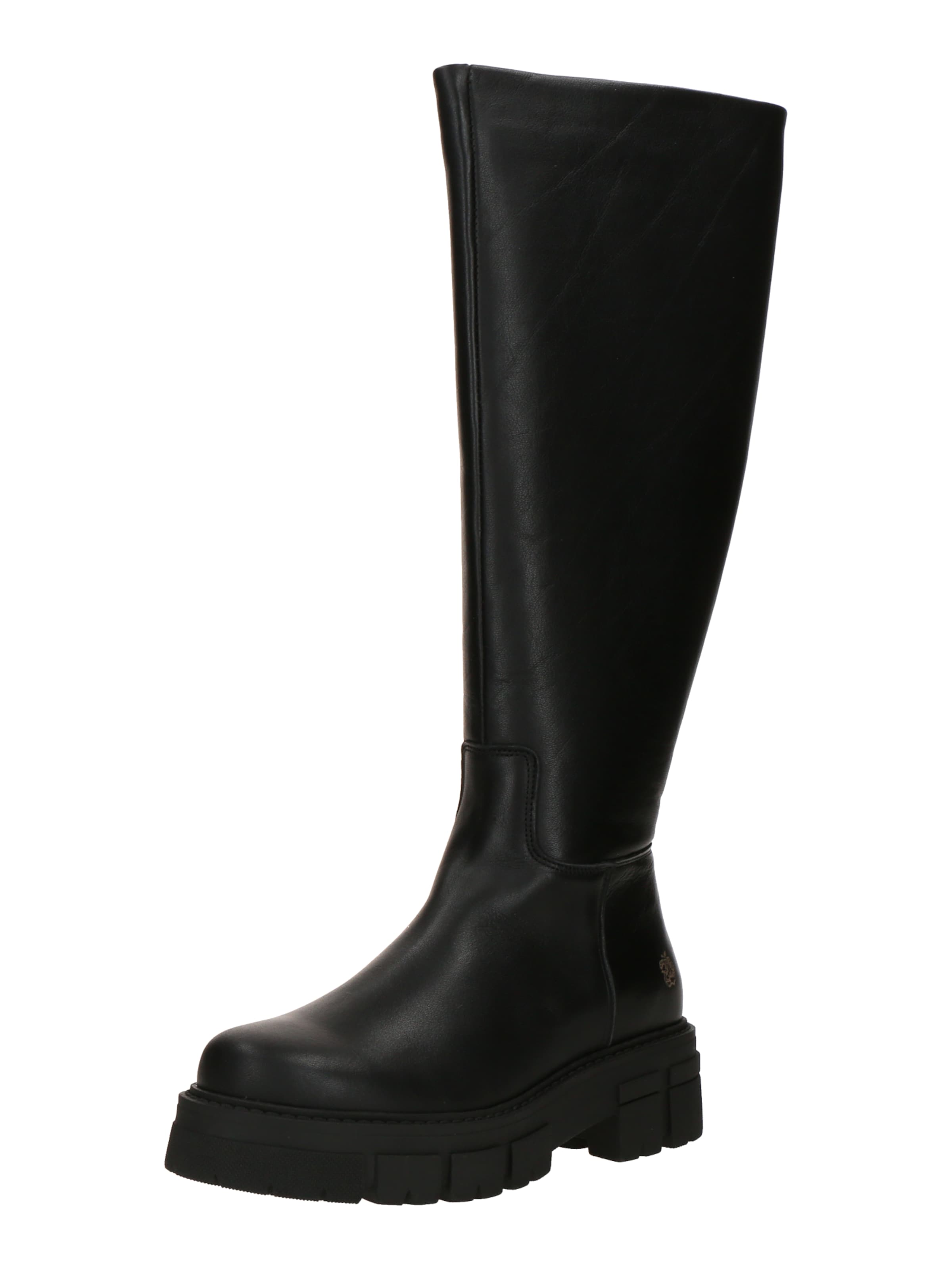 Bottes 'GIGI' Apple of Eden en noir : devant