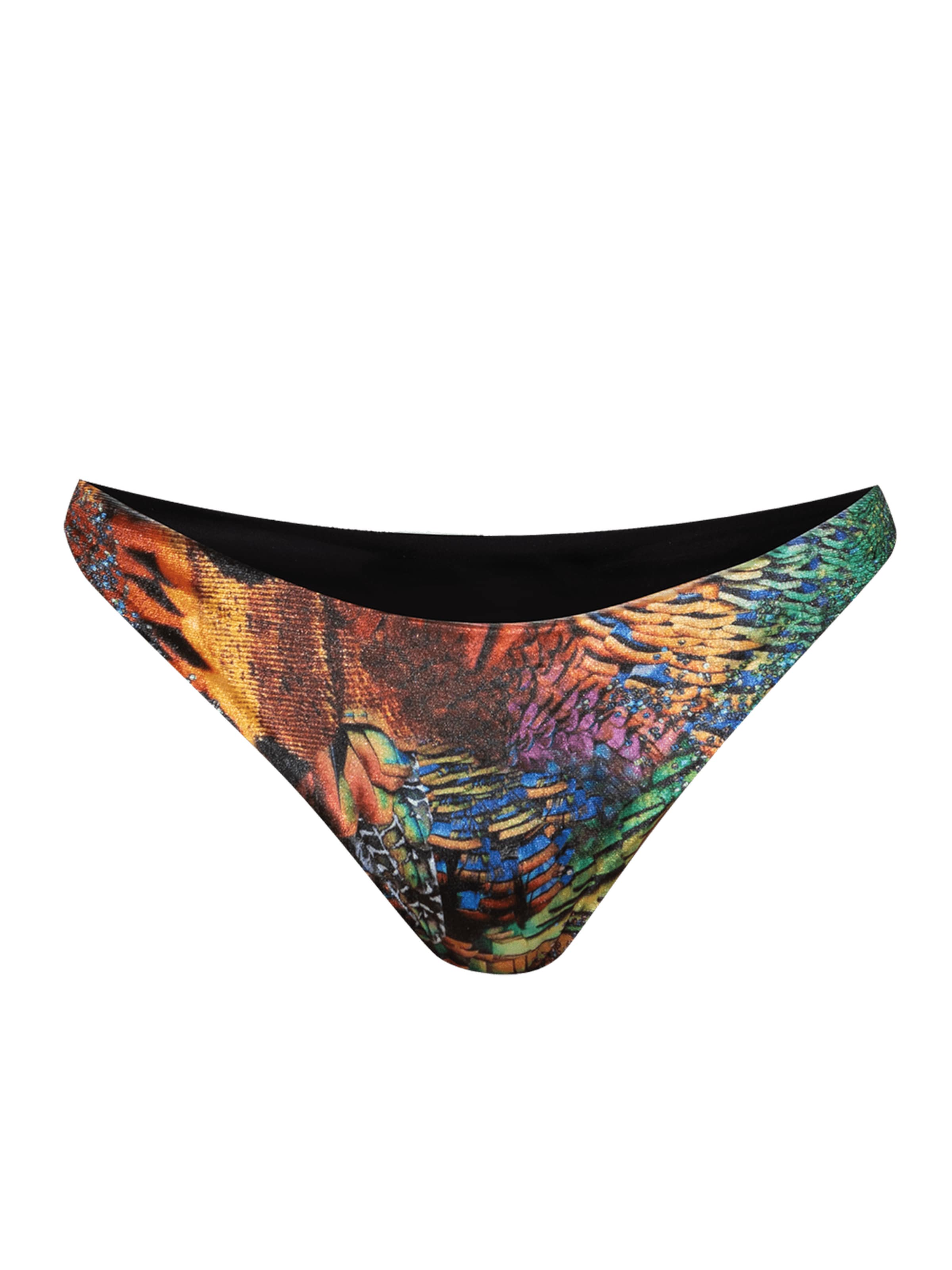 JIORO Bikinibroek 'AMAZONIA' in Gemengde kleuren: voorkant