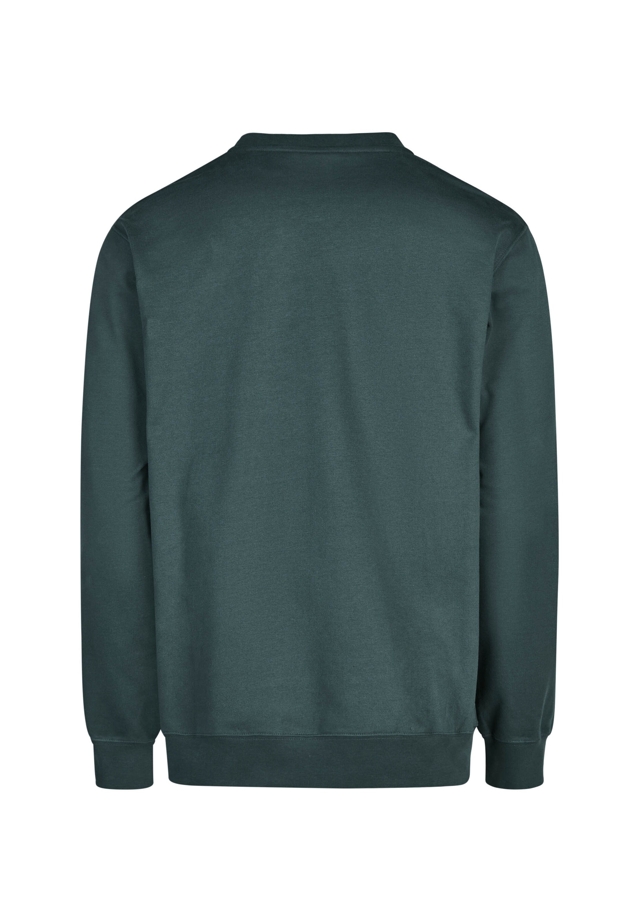 Cleptomanicx Sweatshirt 'Ligull' in Green