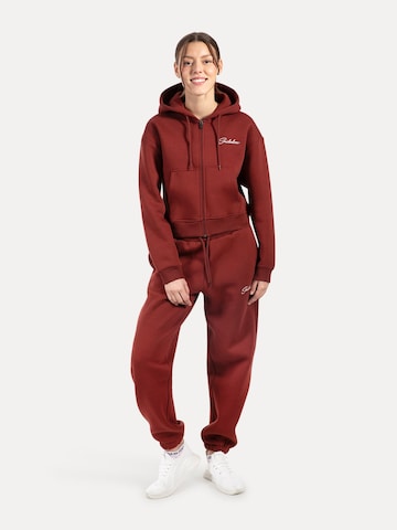 Smilodox Regular Broek in Bruin