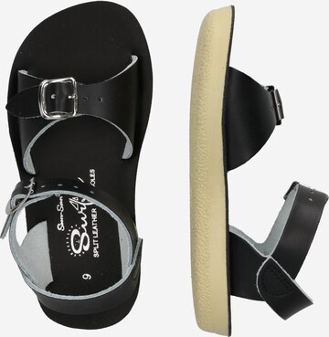 Calzatura aperta di Salt-Water Sandals in nero