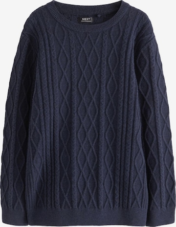 mėlyna Next Megztinis: priekis