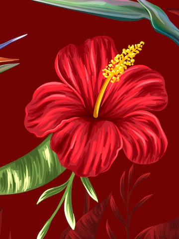 Hawaiihemdshop.de Regular fit Button Up Shirt 'Flowerful Summer (red)' in Red