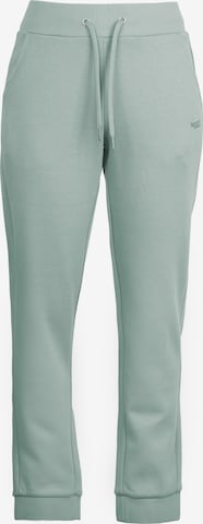 Pantalon de sport 'Judy II' STOOKER WOMEN en vert : devant