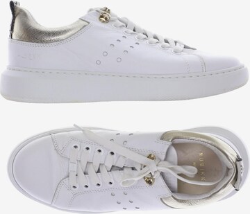 Nubikk Sneakers & Trainers in 37 in White: front