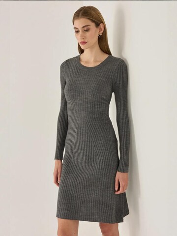 Hiccup Kleid in Grau