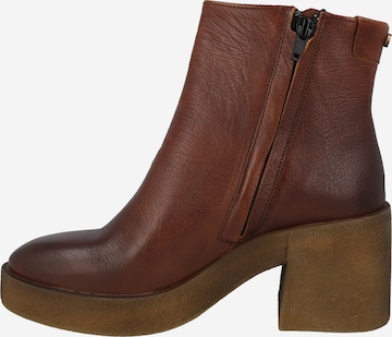 Ca'Shott Ankle Boots in Brown
