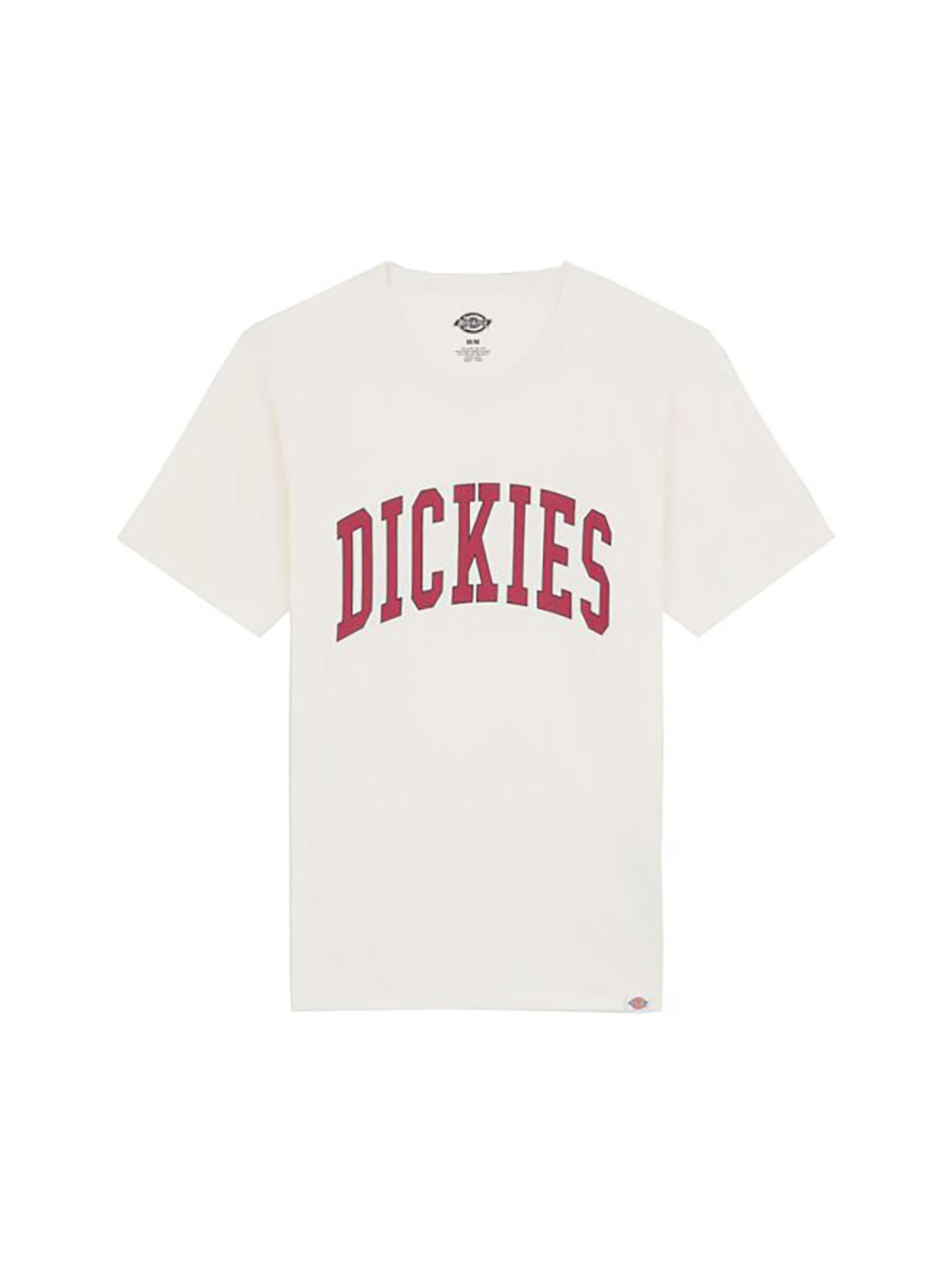 DICKIES Shirt 'Aitkin' in Beige: front