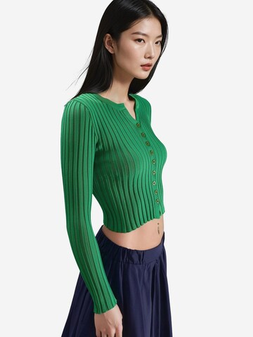 My fashion Trui 'Pullover' in Groen