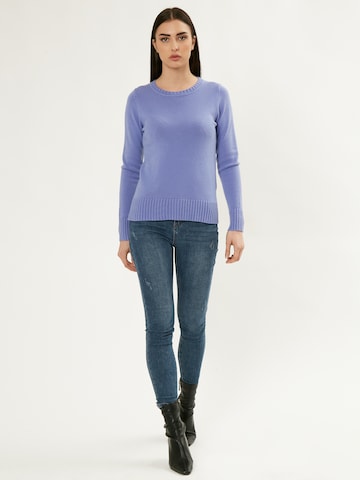 Influencer Pullover in Blau