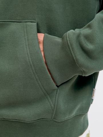 JACK & JONES Sweatshirt in Grün